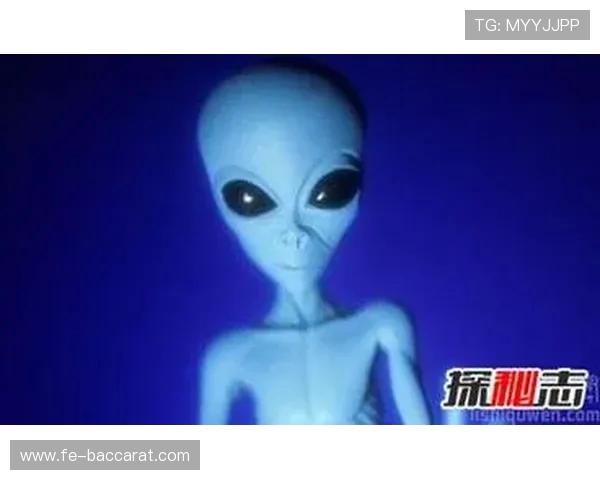 大生意游戏外星人任务攻略揭秘带你征服星际市场